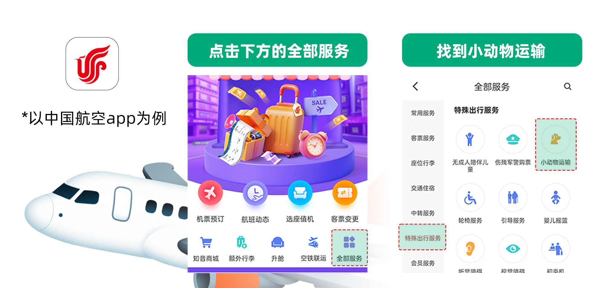 毛孩子可以坐飛機高鐵啦---小紅書尺寸